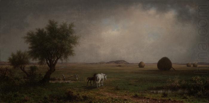 Martin Johnson Heade Mare and Colt in a Marsh china oil painting image